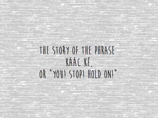 The Story of the phrase, “kaac ke,” or “You! Stop! Hold on!”